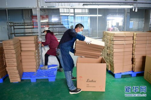 陜西城固樂器廠復(fù)工忙，樂器零售市場煥發(fā)新生機(jī)