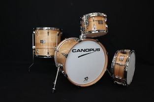 日本打擊樂器代購指南 價(jià)格、二手市場與購買渠道全解析