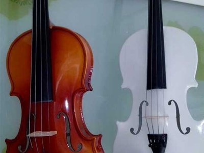 北京批發(fā)零售兒童提琴倉儲(chǔ)式銷售 大提琴與小提琴價(jià)格探秘與半價(jià)優(yōu)惠策略